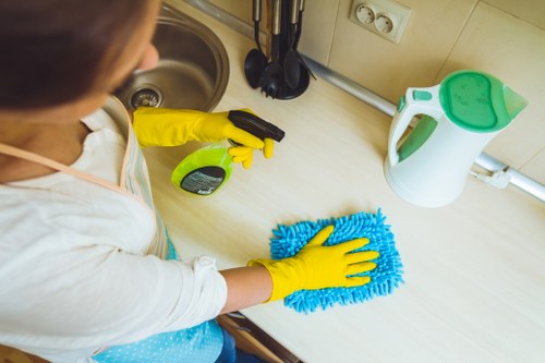 Professional carpet cleaning service in a Richmond home living room