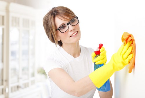 Deep cleaning equipment used for pet odour treatment in Richmond