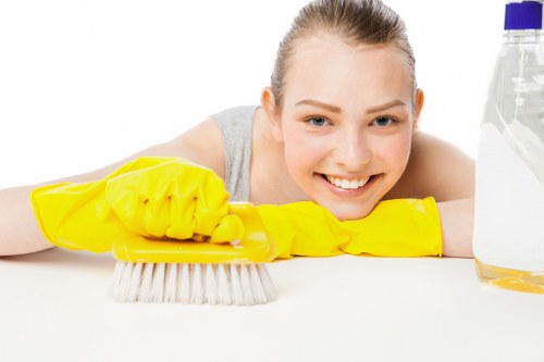 Professional house cleaning service for a Richmond home interior