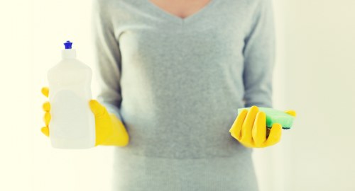 Customer booking a professional cleaning service with appointment details