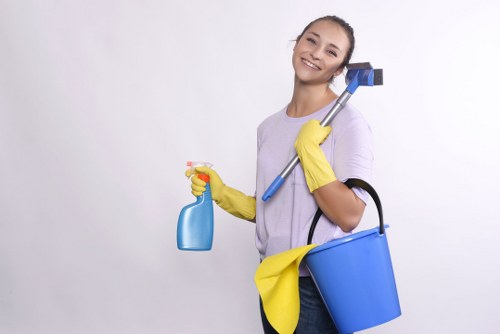 Window cleaning equipment ready for residential service in Richmond